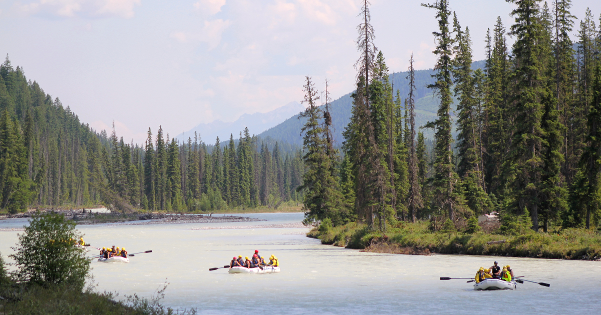 three rafts on the kick horse river