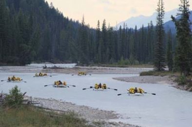 River Blogged: Rafting the Kicking Horse and the Human Experience